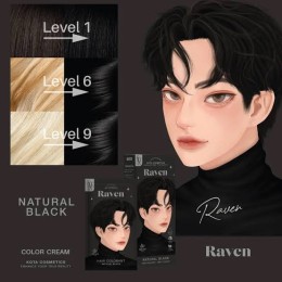 Kota Hair Colour - Raven